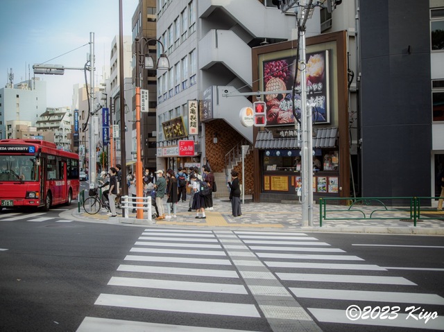 O6241382-ORF_DxO_DeepPRIMEXD_CameraRAW2_signed.jpg