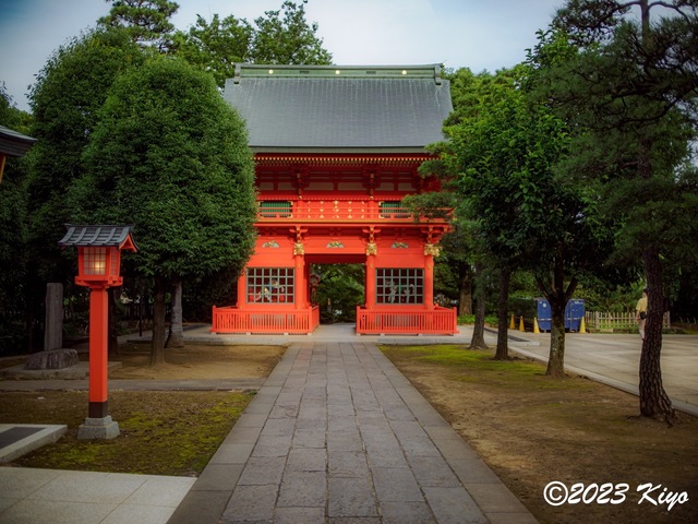 O6241398-ORF_DxO_DeepPRIMEXD_CameraRAW2_signed.jpg