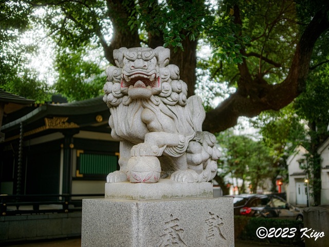 O6241400-ORF_DxO_DeepPRIMEXD_CameraRAW2_signed.jpg