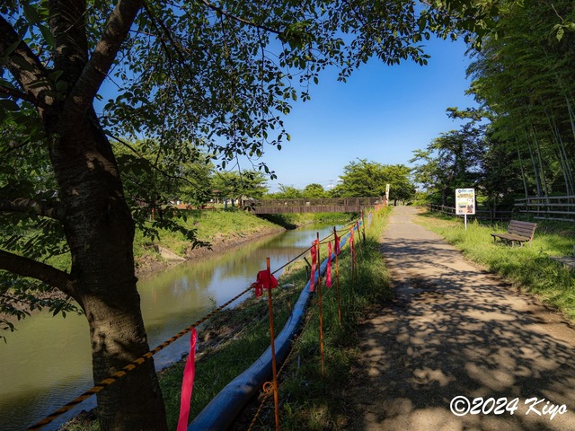 O6292778-ORF_CameraRAW2_signed.jpg