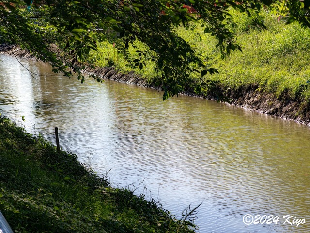 O6292783-ORF_CameraRAW2_signed.jpg