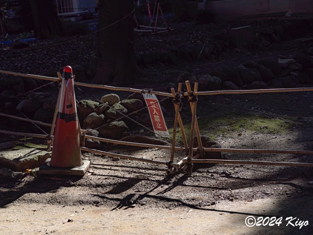 O6292787-ORF_CameraRAW2_signed.jpg
