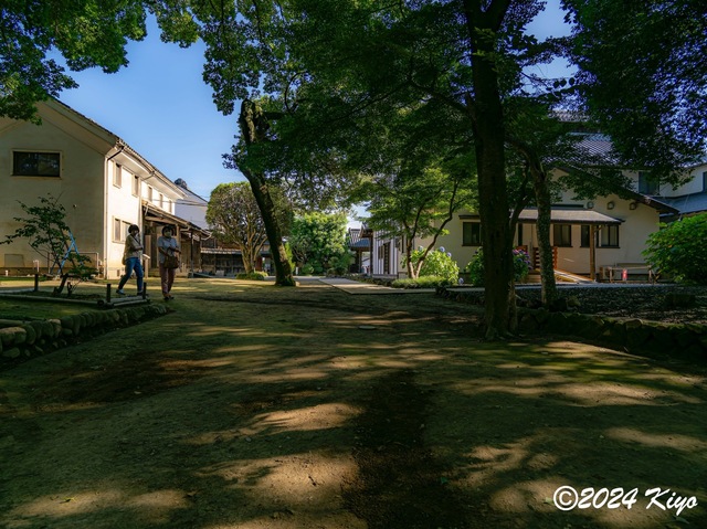 O6292788-ORF_CameraRAW2_signed.jpg