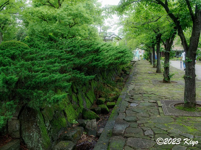 O7012200-ORF_DxO_DeepPRIMEXD_CameraRAW2_signed.jpg