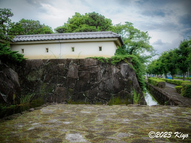 O7012207-ORF_DxO_DeepPRIMEXD_CameraRAW2_signed.jpg