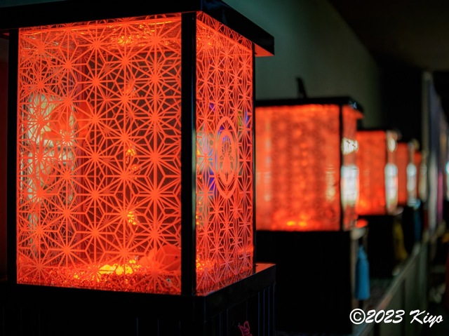 O7082646-ORF_DxO_DeepPRIMEXD_CameraRAW2_signed.jpg