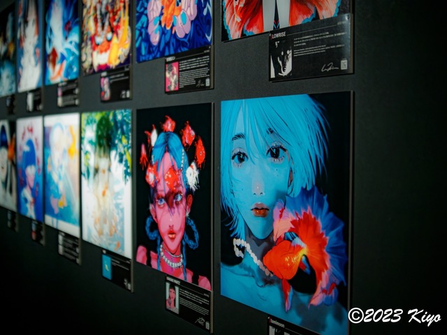 O7082649-ORF_DxO_DeepPRIMEXD_CameraRAW2_signed.jpg