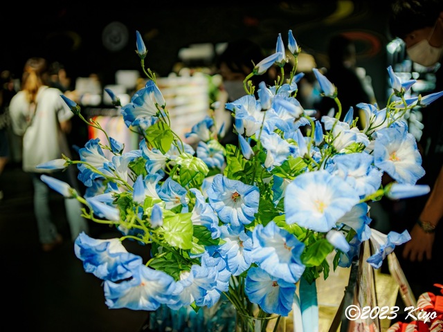 O7082655-ORF_DxO_DeepPRIMEXD_CameraRAW2_signed.jpg