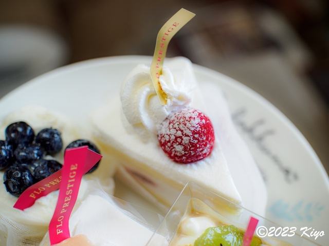O7112706_CameraRAW2_signed.jpg