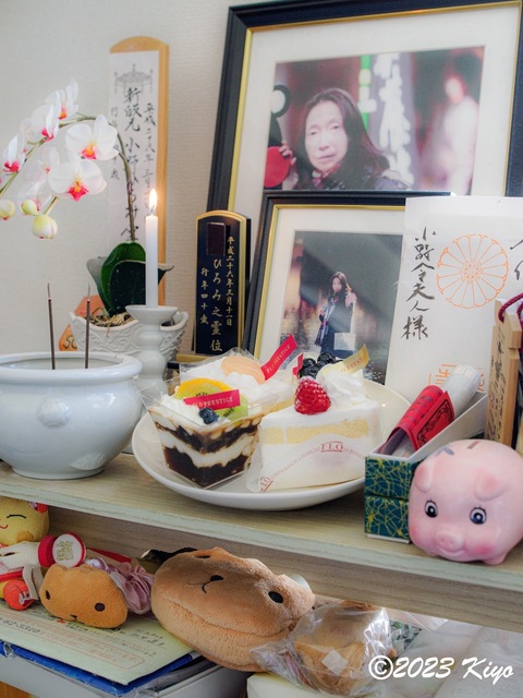 O7112718_CameraRAW2_signed.jpg