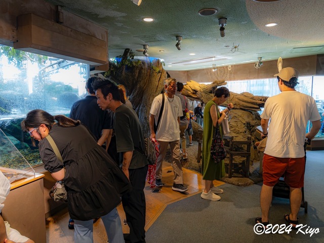 O7202865-ORF-DxO_DeepPRIME XD2_CameraRAW2_signed.jpg