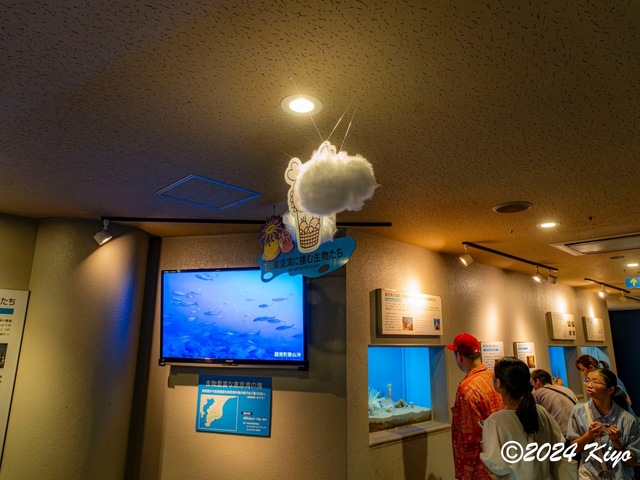 O7202888-ORF-DxO_DeepPRIME XD2_CameraRAW2_signed.jpg