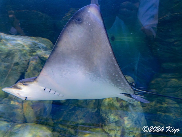 O7202905-ORF-DxO_DeepPRIME XD2_CameraRAW2_signed.jpg