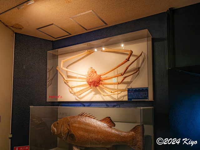 O7202914-ORF-DxO_DeepPRIME XD2_CameraRAW2_signed.jpg