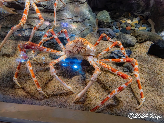 O7202915-ORF-DxO_DeepPRIME XD2_CameraRAW2_signed.jpg