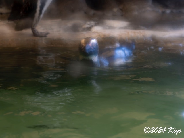 O7203082-ORF-DxO_DeepPRIME XD2_CameraRAW2_signed.jpg
