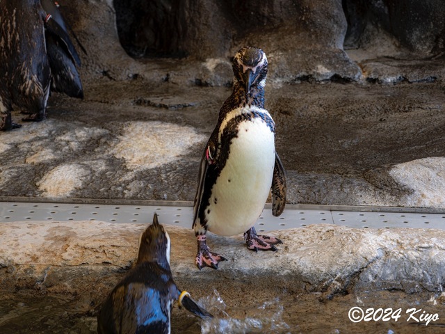 O7203089-ORF-DxO_DeepPRIME XD2_CameraRAW2_signed.jpg