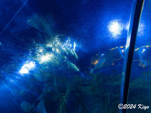 O7203123-ORF-DxO_DeepPRIME XD2_CameraRAW2_signed.jpg