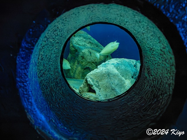 O7203124-ORF-DxO_DeepPRIME XD2_CameraRAW2_signed.jpg