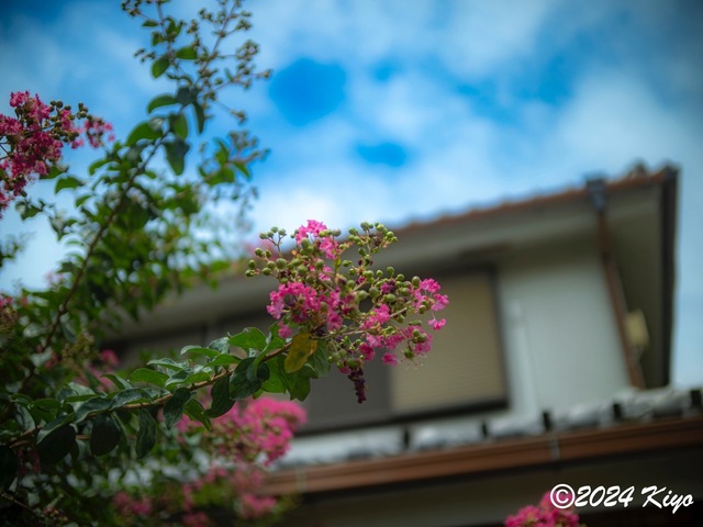 O7283238-ORF-DxO_DeepPRIME XD2_CameraRAW2_signed.jpg