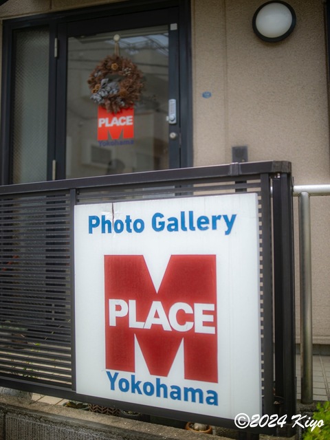 O7283241-ORF-DxO_DeepPRIME XD2_CameraRAW2_signed.jpg