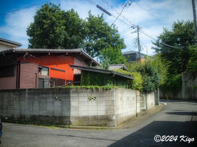 O7283271-ORF-DxO_DeepPRIME XD2_CameraRAW2_signed.jpg