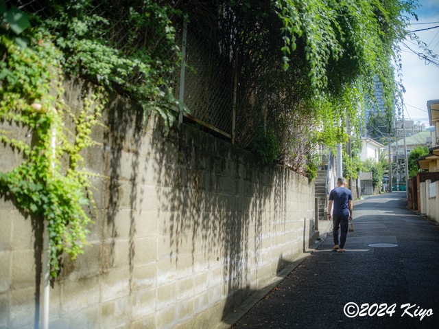 O7283272-ORF-DxO_DeepPRIME XD2_CameraRAW2_signed.jpg