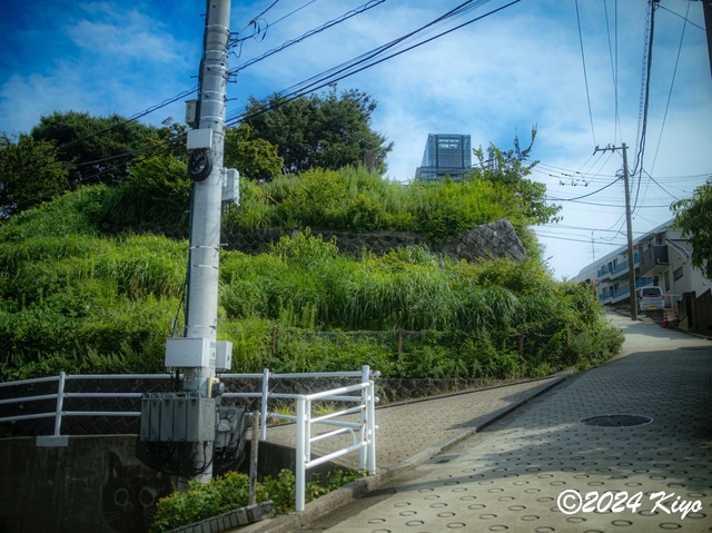 O7283277-ORF-DxO_DeepPRIME XD2_CameraRAW2_signed.jpg