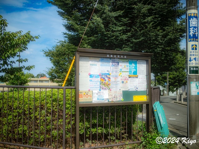 O7283279-ORF-DxO_DeepPRIME XD2_CameraRAW2_signed.jpg