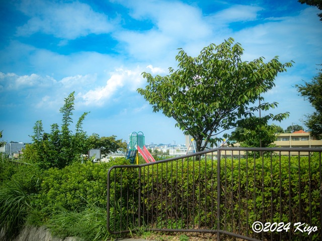 O7283280-ORF-DxO_DeepPRIME XD2_CameraRAW2_signed.jpg