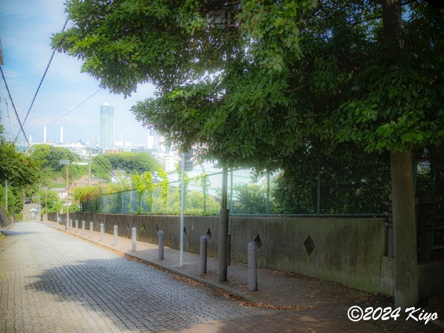 O7283284-ORF-DxO_DeepPRIME XD2_CameraRAW2_signed.jpg