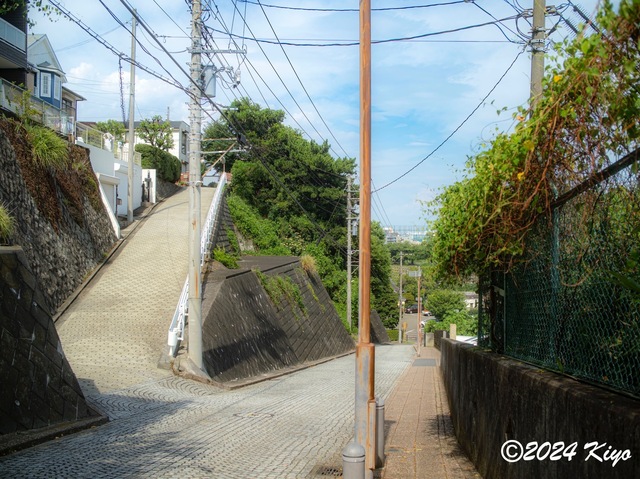 O7283286-ORF-DxO_DeepPRIME XD2_CameraRAW2_signed.jpg