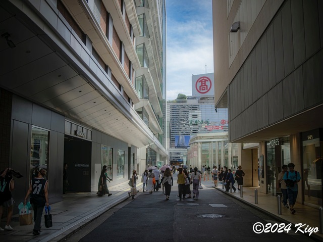 O7283311-ORF-DxO_DeepPRIME XD2_CameraRAW2_signed.jpg