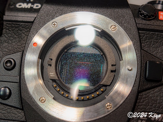 O8103348-ORF-DxO_DeepPRIME XD2_CameraRAW2_signed.jpg
