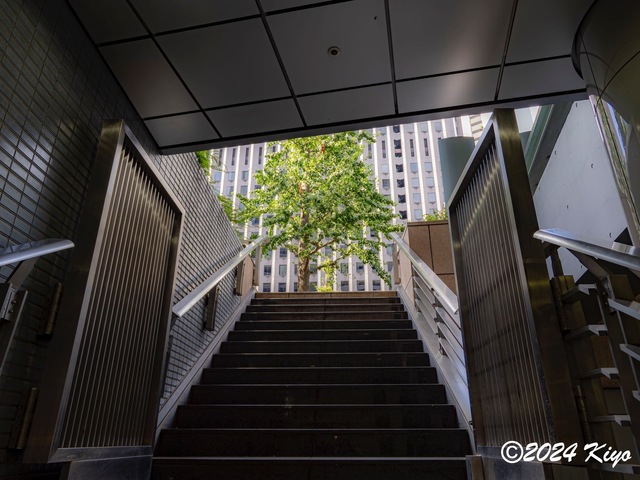 O8103352-ORF-DxO_DeepPRIME XD2_CameraRAW2_signed.jpg