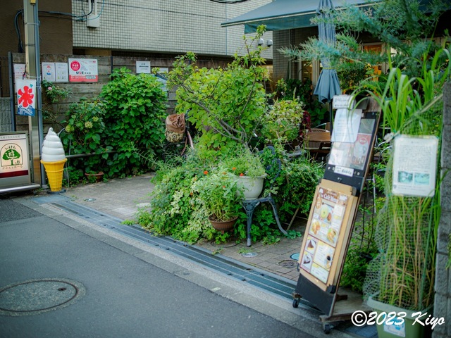 O8191042-ORF_DxO_DeepPRIMEXD_CameraRAW2_signed.jpg