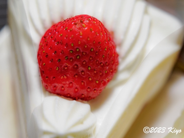 O8310749-ORF_DxO_DeepPRIMEXD_CameraRAW2_signed.jpg