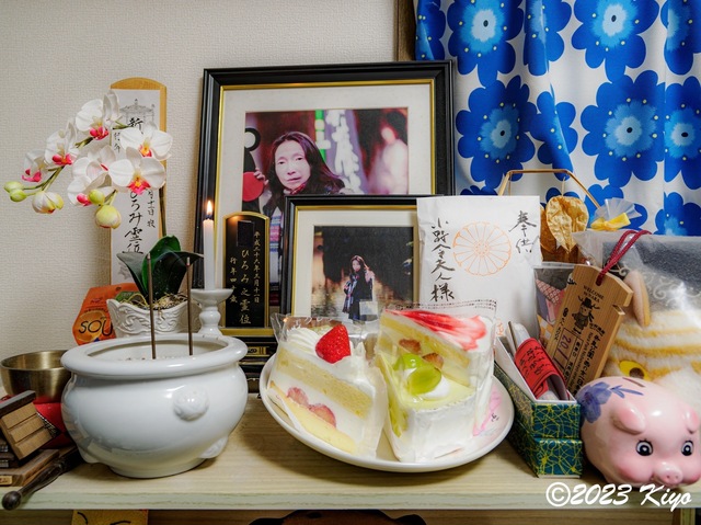 O8310753-ORF_DxO_DeepPRIMEXD_CameraRAW2_signed.jpg