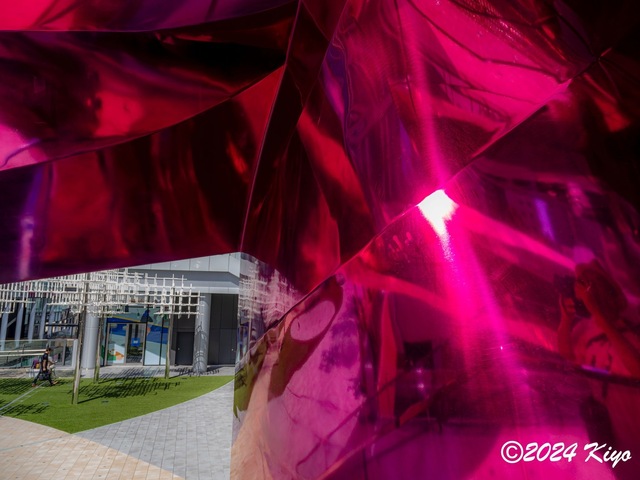 O9143693-ORF-DxO_DeepPRIME XD2_CameraRAW2_signed.jpg