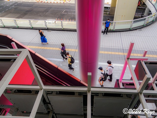 O9143729-ORF-DxO_DeepPRIME XD2_CameraRAW2_signed.jpg