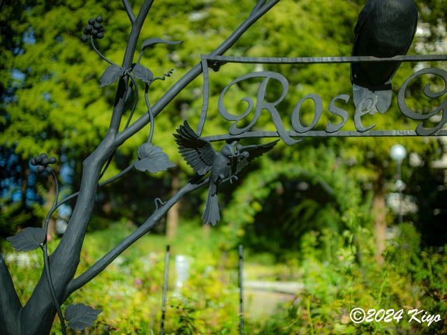 O9153883-ORF-DxO_DeepPRIME XD2_CameraRAW2_signed.jpg