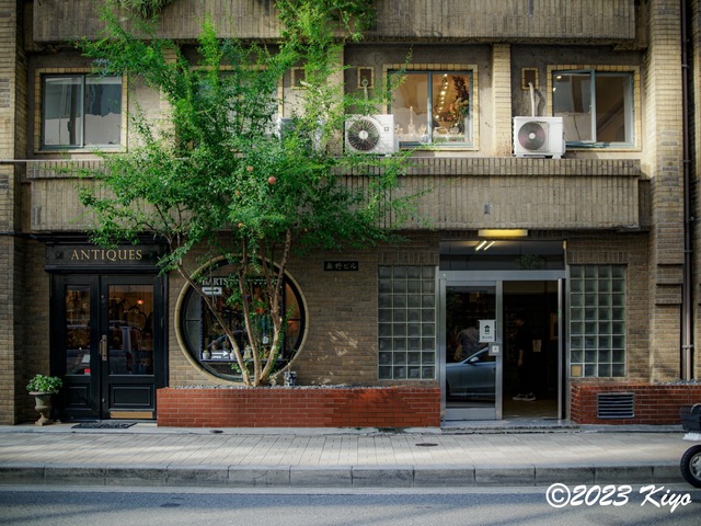 O9160845-ORF_DxO_DeepPRIMEXD_CameraRAW2_signed.jpg