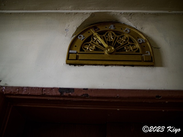 O9160852-ORF_DxO_DeepPRIMEXD_CameraRAW2_signed.jpg