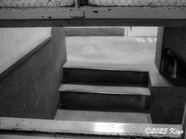 O9160873-ORF_DxO_DeepPRIMEXD_CameraRAW2_signed.jpg