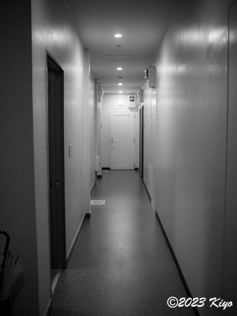 O9160875-ORF_DxO_DeepPRIMEXD_CameraRAW2_signed.jpg