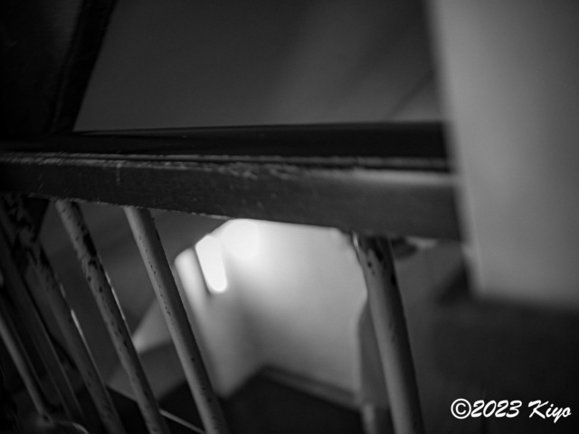 O9160882-ORF_DxO_DeepPRIMEXD_CameraRAW2_signed.jpg