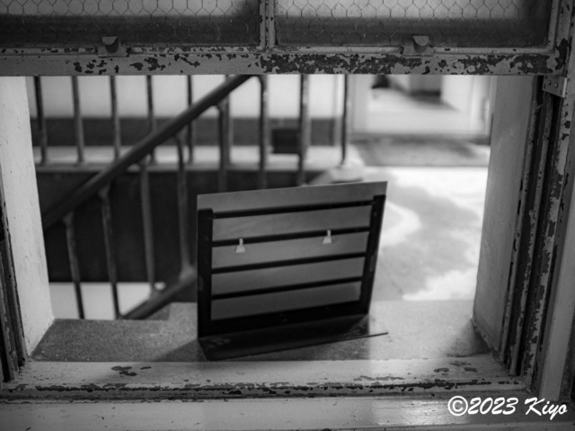 O9160883-ORF_DxO_DeepPRIMEXD_CameraRAW2_signed.jpg
