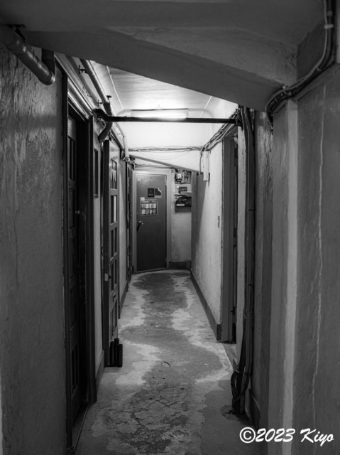 O9160891-ORF_DxO_DeepPRIMEXD_CameraRAW2_signed.jpg