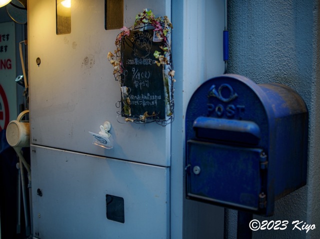 O9181078-ORF_DxO_DeepPRIMEXD_CameraRAW2_signed.jpg