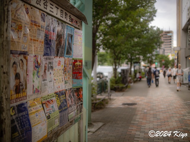 O9223983-ORF-DxO_DeepPRIME XD2_CameraRAW2_signed.jpg